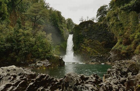 SE VENDE Sitio en Reserva Huilo Huilo