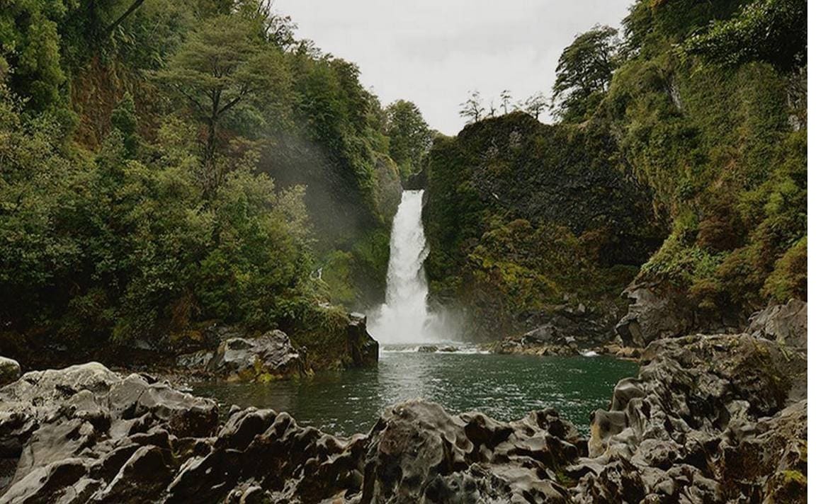 SE VENDE Sitio en Reserva Huilo Huilo