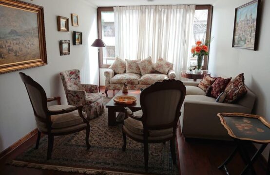 SE ARRIENDA Dpto Amoblado 2 Dorm Providencia