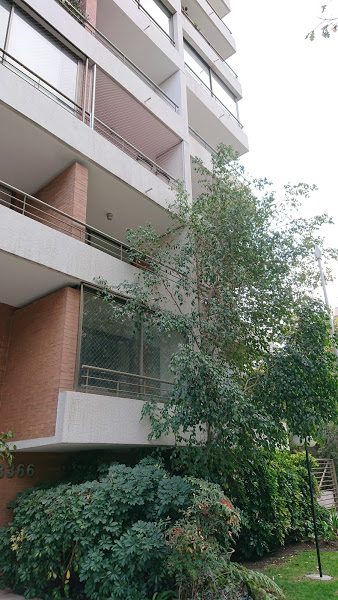 SE ARRIENDA Dpto 1 Dorm Metro Golf