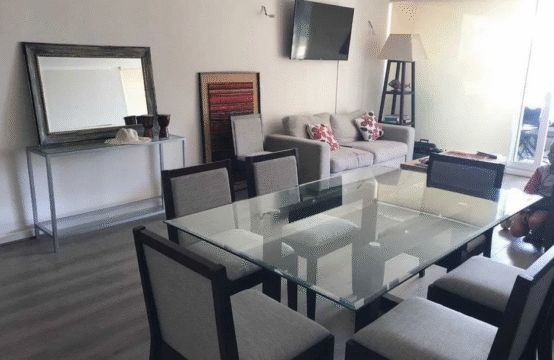 Se Arrienda Dpto Punta Puyai Papudo