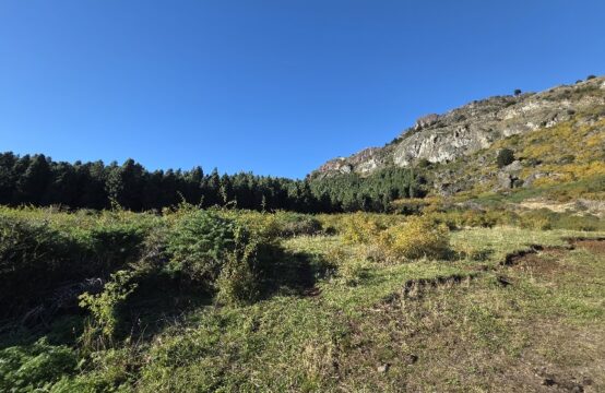 SE VENDEN Sitios Puerto Tranquilo- Aysen